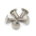 Galvanized extra large head square neck carriage bolts for industry